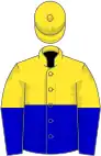 Yellow and blue halved (horizontal), yellow cap