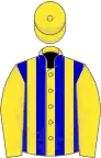 Yellow, blue stripes on body