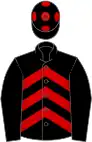 Black, Red spots, Red sleeves, Black chevrons, Black cap