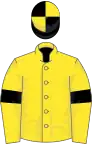 Yellow, large black spots and armlets, black and yellow quartered cap