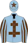 Light blue, brown cross of lorraine, brown and light blue striped sleeves, light blue cap, brown star