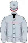 Gray silks with red trim on helmet brim and "CHROME" in red outlined letters on the rider's chest