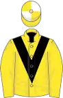 Yellow, black chevron, yellow and white quartered cap
