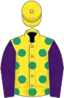 Yellow, emerald green spots, purple sleeves, yellow cap