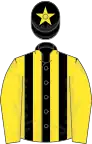 Black and yellow stripes, yellow sleeves, yellow star on cap