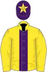 Yellow, purple stripe, yellow sleeves, purple cap, yellow star