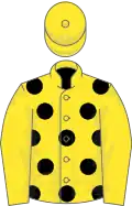 Yellow, black spots, yellow sleeves & cap