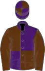 Purple and brown (quartered), brown sleeves, quartered cap