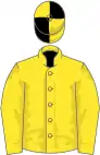 Yellow, yellow sleeves, yellow cap, black quartered