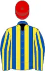 Royal blue and yellow stripes, red cap