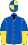 Royal blue, yellow seams, halved sleeves, quartered cap