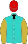 Turquoise, old gold sleeves, red cap