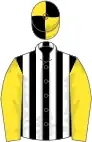 Black and white stripes, yellow sleeves, yellow and black quartered cap