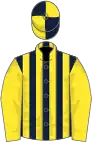 Dark blue and yellow stripes, yellow sleeves, quartered cap