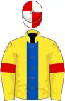 Yellow, royal blue stripe, yellow sleeves, red armlets, red and white quartered cap