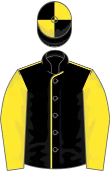Black, yellow seams and sleeves, quartered cap