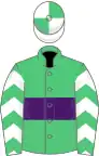 Emerald green, purple hoop, white and purple chevrons on sleeves, white and emerald green quartered cap