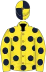 Yellow, dark blue spots, quartered cap