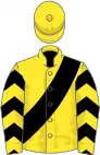 Yellow, black sash and chevrons on sleeves