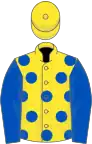 Yellow, royal blue spots and sleeves, yellow cap