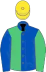 Royal blue and emerald green halved, sleeves reversed, yellow cap