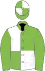 Light Green and White (quartered), Light Green sleeves