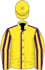 Yellow, purple seams, striped sleeves, yellow cap