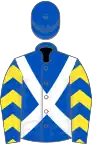 Royal blue, white cross belts, royal blue and yellow chevrons on sleeves