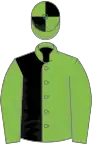 Light Green and Black (halved), Light Green sleeves, quartered cap