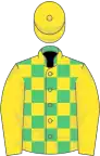 Emerald green and yellow check, yellow sleeves and cap