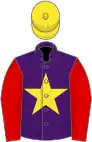 Purple, yellow star, red sleeves, yellow cap