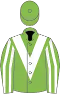 Light green, white chevron, striped sleeves
