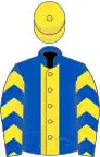 Royal blue, yellow stripe, chevrons on sleeves, yellow cap