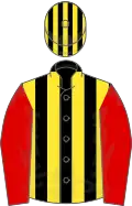 Black and yellow stripes, red sleeves