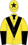 Yellow, black chevron, black and yellow halved sleeves, yellow cap, black star