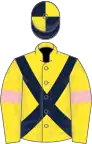 Yellow, dark blue cross belts, yellow sleeves, pink armlets, dark blue and yellow quartered cap