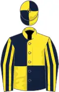 Dark blue and yellow quartered, striped sleeves, quartered cap
