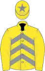 Yellow and grey chevrons, yellow sleeves, yellow cap, grey star