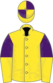 Yellow, purple halved sleeves, quartered cap