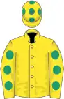 Yellow, emerald green spots on sleeves and cap