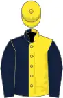 Dark blue and yellow (halved), dark blue sleeves, yellow cap