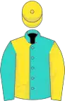 Turquoise and yellow (halved), reversed sleeves, yellow cap