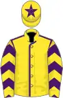 Yellow, purple seams, chevrons on sleeves, star on cap