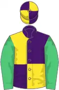 Purple and yellow (quartered), emerald green sleeves
