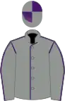 Grey, Purple seams, quartered cap