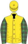 Yellow, mcalpine tartan sleeves