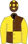 Brown and yellow quartered, yellow sleeves, brown cap, yellow spots