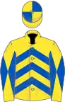 Yellow and royal blue chevrons, diabolo on sleeves, quartered cap
