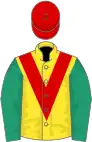 Yellow, red chevron, emerald green sleeves, red cap