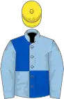 Light blue and royal blue (quartered), light blue sleeves, yellow cap